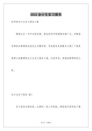 2024会计生实习报告_38
