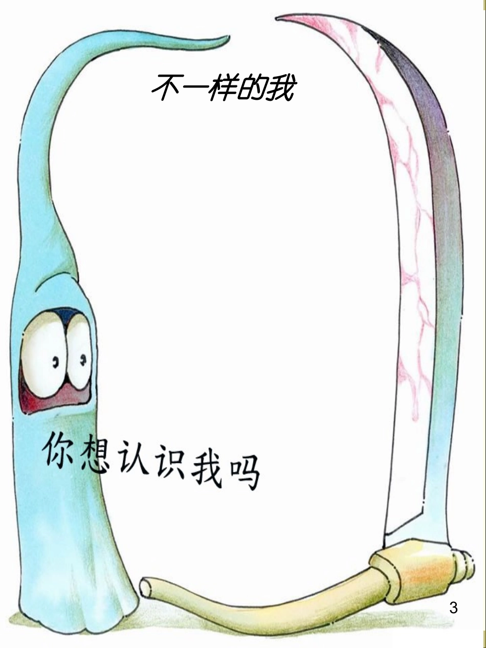 学生成长档案PPT模板 (3)_第3页