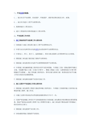 大厦安全监理细则