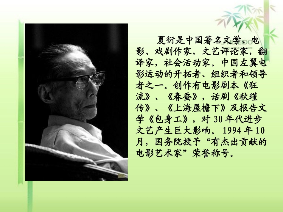 野草课件PPT下载北师大版六年级语文下册课件_第2页