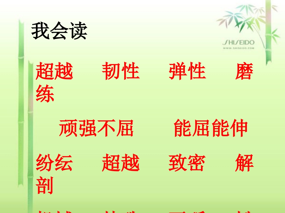 野草课件PPT下载北师大版六年级语文下册课件_第3页