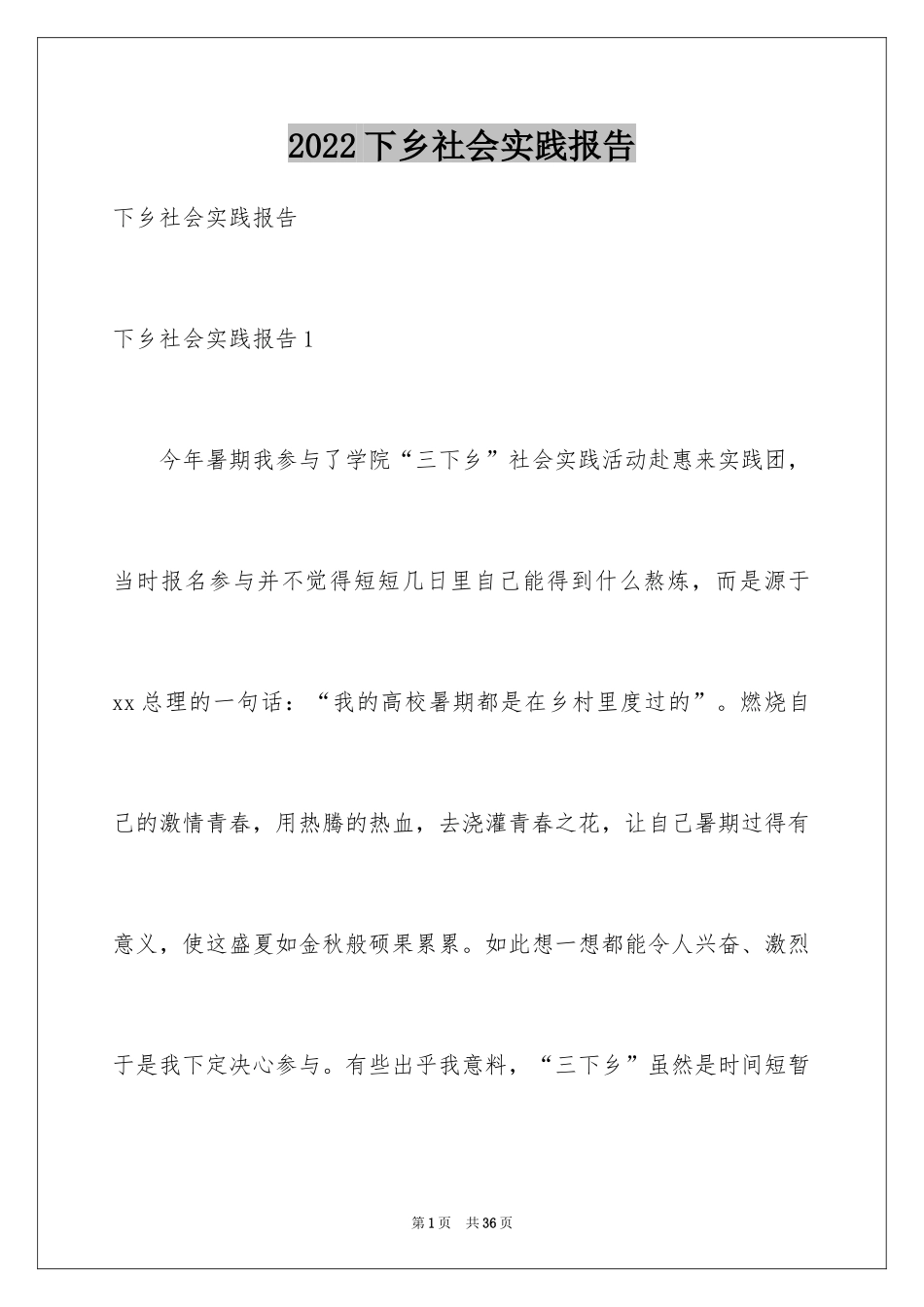 2024下乡社会实践报告_第1页