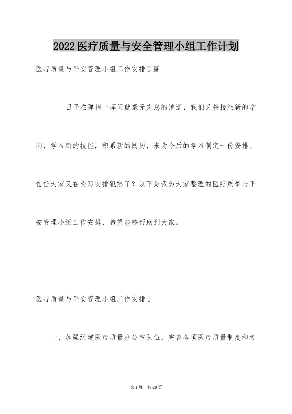 2024医疗质量与安全管理小组工作计划_第1页