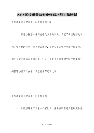 2024医疗质量与安全管理小组工作计划