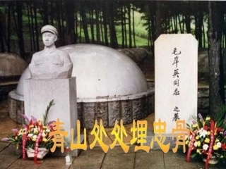 青山处处埋忠骨PPT (2)