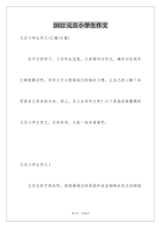2024元旦小学生作文_2