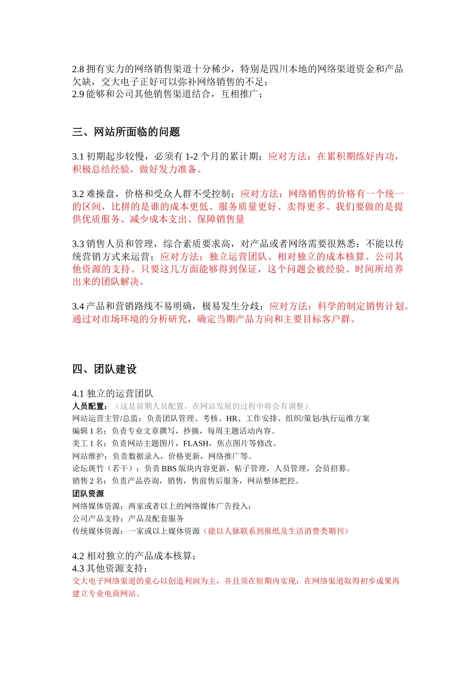 电子商务网站运维推广策划_第2页