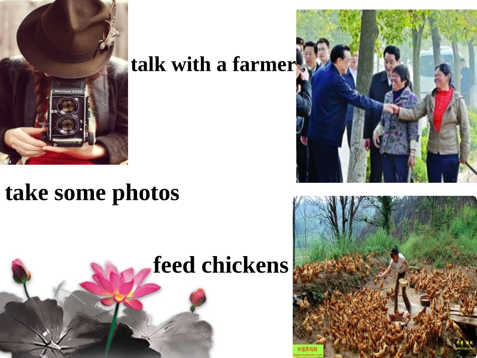 七年级英语下11单元第1课时_第3页