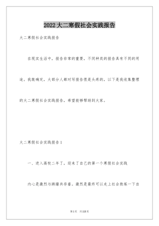 2024大二寒假社会实践报告_2