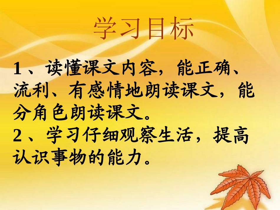 小猫咪穿鞋子 (2)_第2页