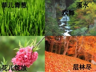 《大自然的语言》课件1（39张PPT）（人教新课标八年级上）