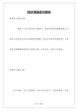 2024商场实习报告_2