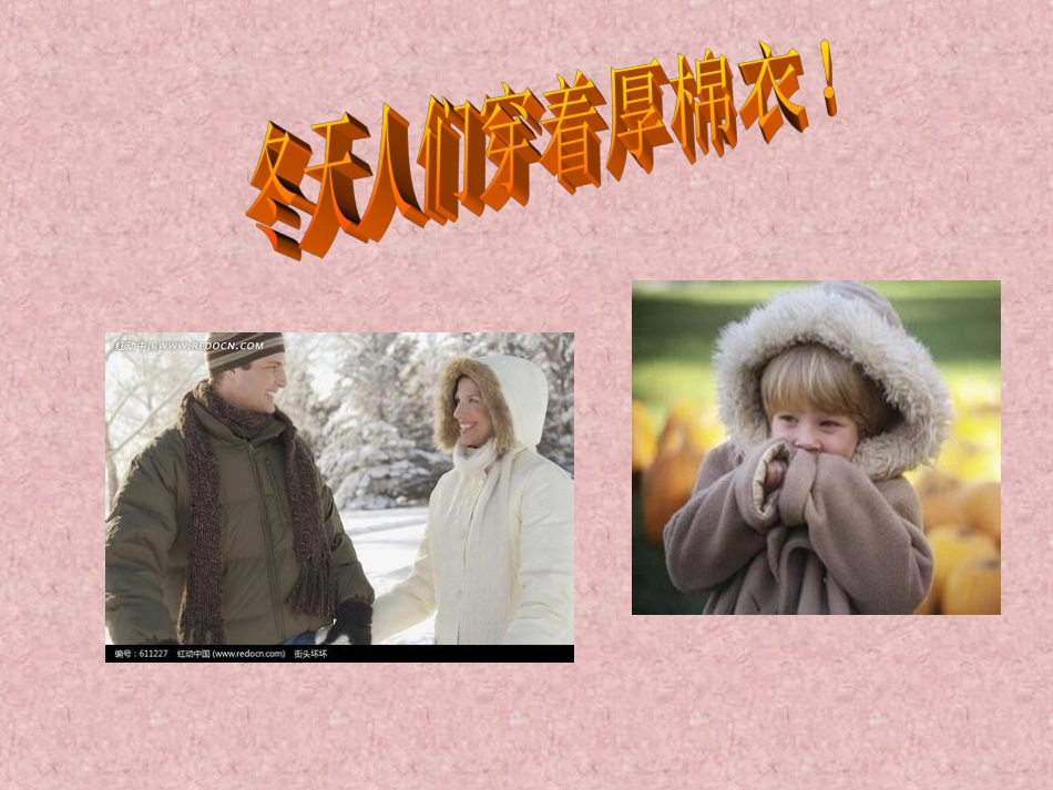 寒冷的冬天MicrosoftPowerPointPresentation_第2页