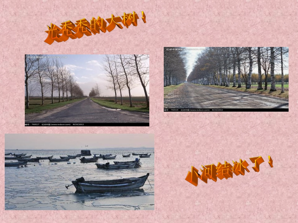 寒冷的冬天MicrosoftPowerPointPresentation_第3页