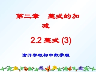 整式的加减(3)