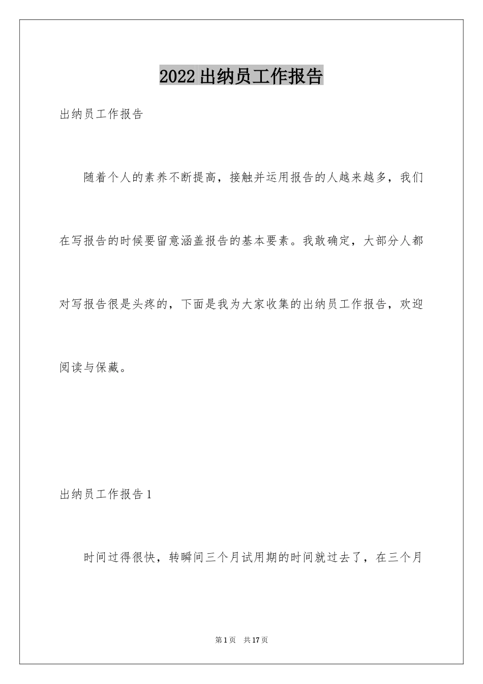 2024出纳员工作报告_第1页