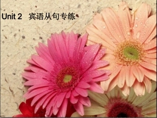 2014宾语从句练习