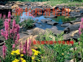 滑轮和滑轮组课件