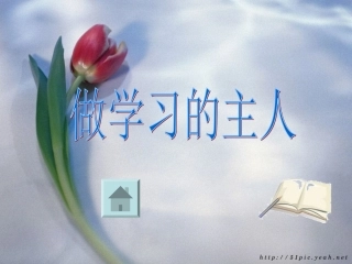 主题班会-做学习的主人