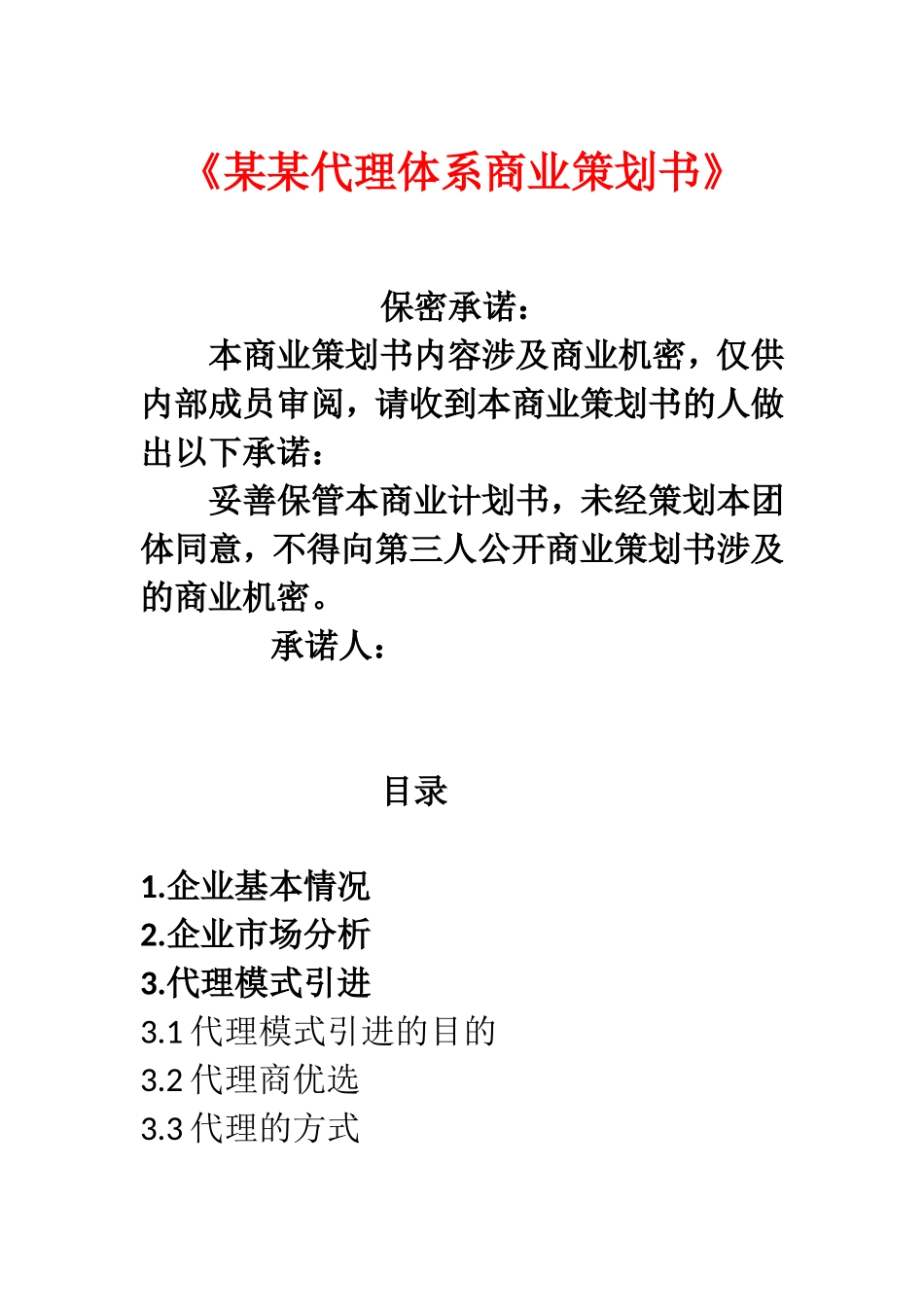 某某代理体系商业策划书_第1页