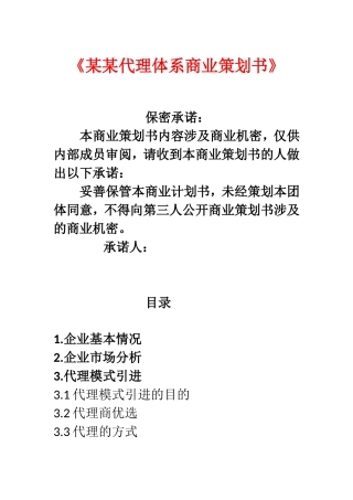 某某代理体系商业策划书