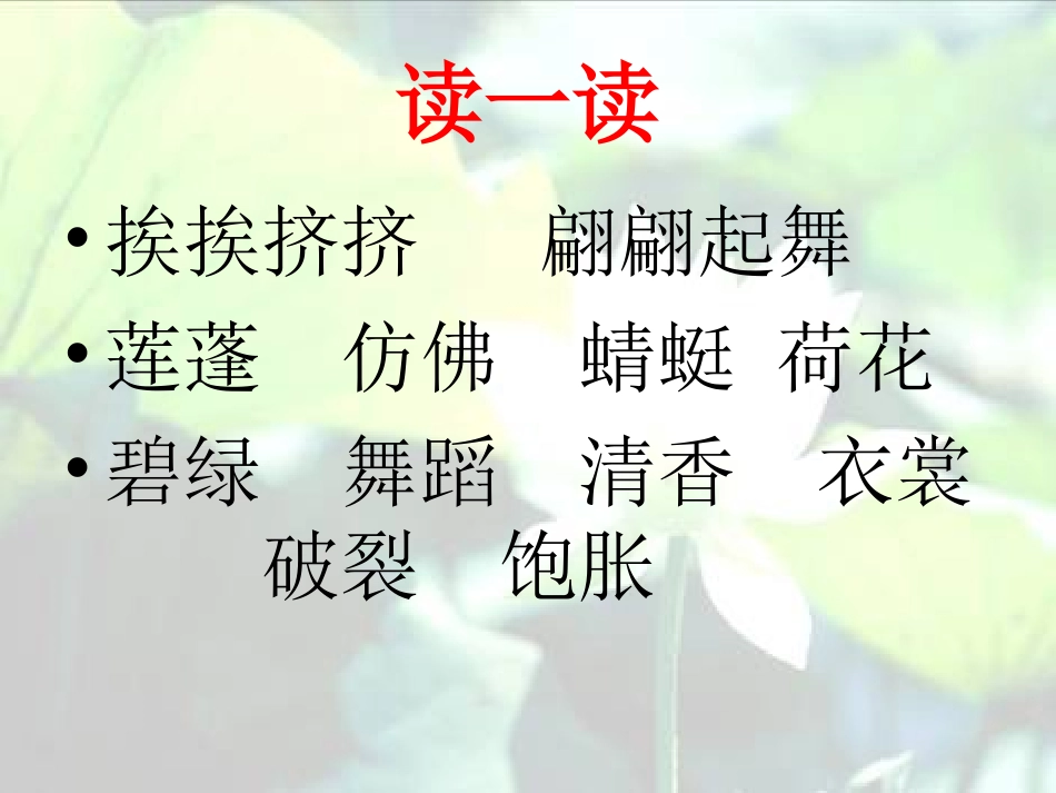 荷花课件 (2)_第2页