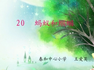 蚂蚁和蝈蝈自己的