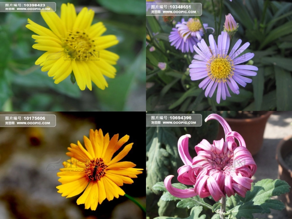 初中一年级思想品德课件_第2页