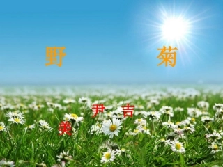 初中一年级思想品德课件