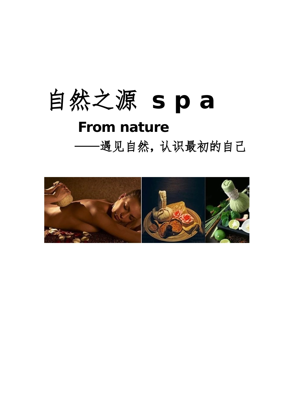 美容院SPA会所价格表设定模版_第1页