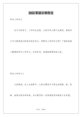 2024军训小学作文_8