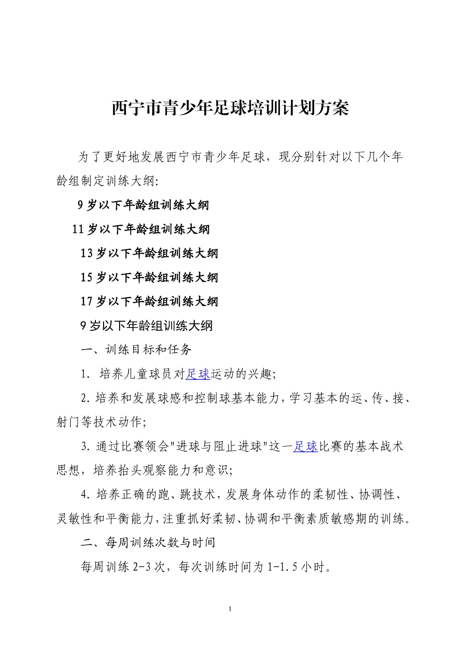 青少年足球培训计划方案_第1页