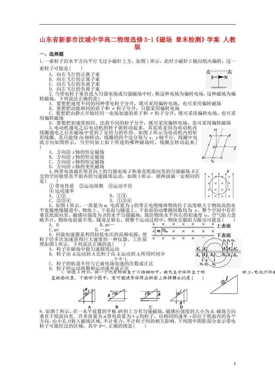 山东省新泰市汶城中学高中物理《磁场 章末检测》学案 新人教版选修3-1_第1页
