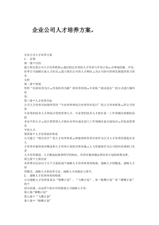 企业公司人才培养方案