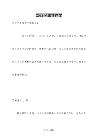 2024兄弟情作文_4
