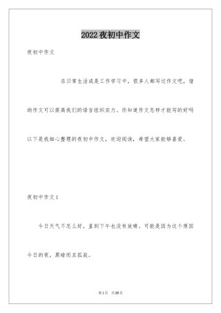 2024夜初中作文