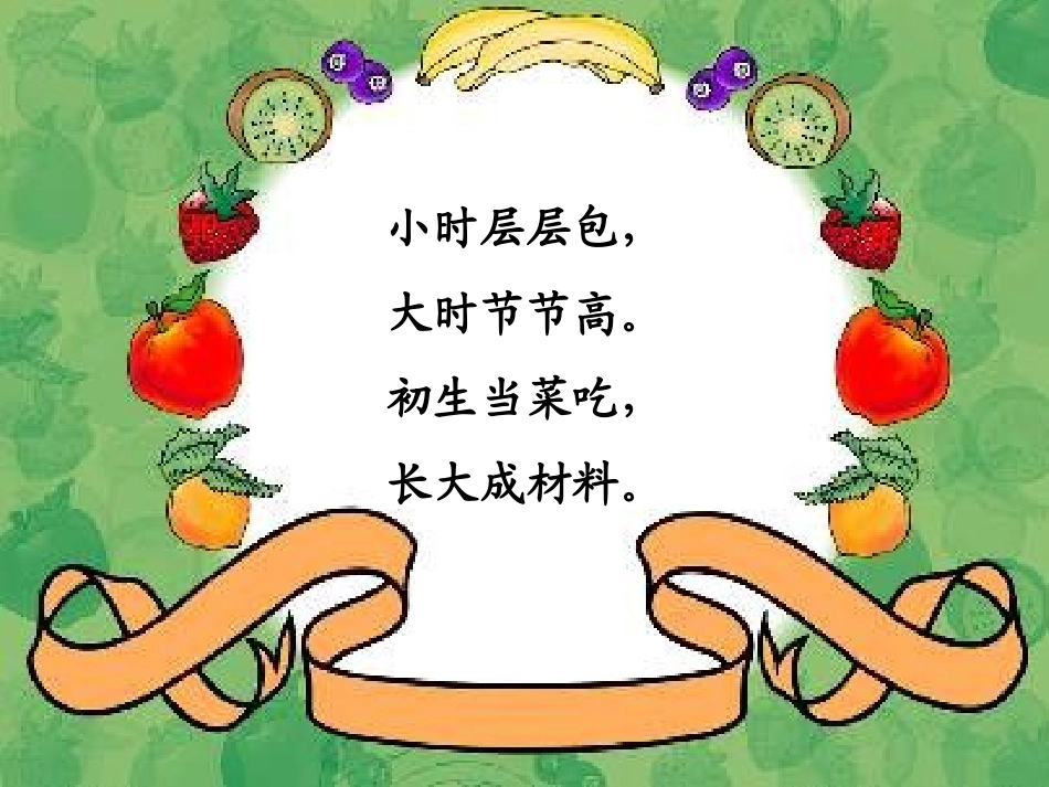二年级语文下册第一组3笋芽儿课件_第1页