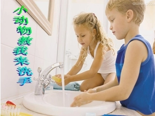 小动物教我来洗手