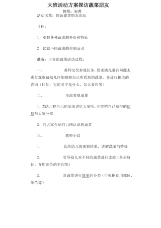 大班活动方案探访蔬菜朋友