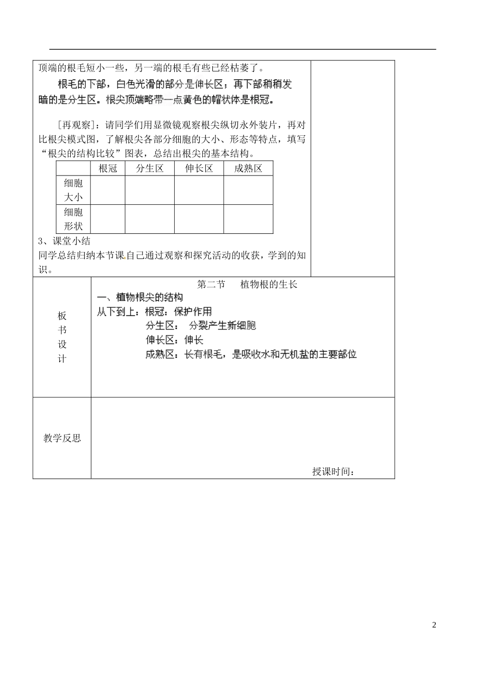 植物根的生长_第2页