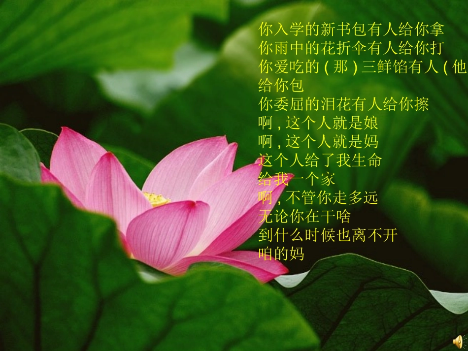 荷叶母亲公开课课件_第1页