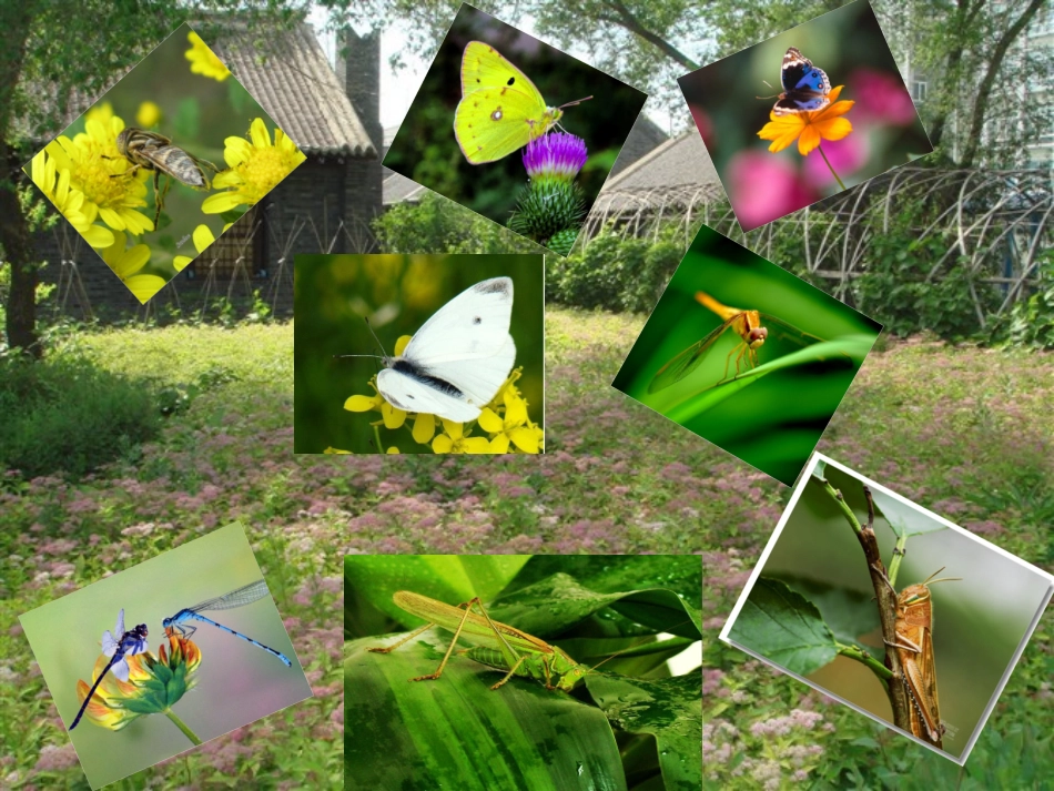 我和祖父的园子 (2)_第3页