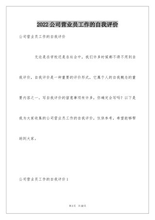 2024公司营业员工作的自我评价