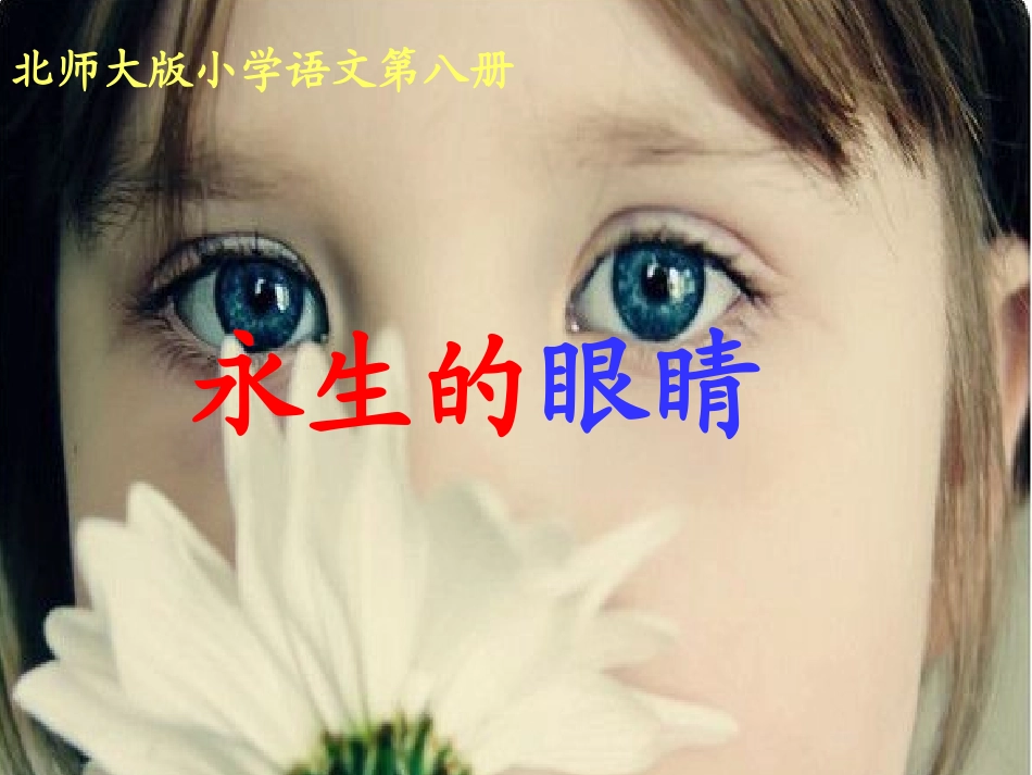 永生的眼睛课件_第3页