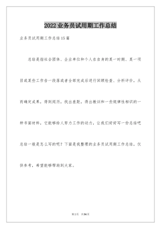 2024业务员试用期工作总结_12