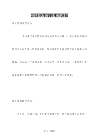 2024学生顶岗实习总结_2