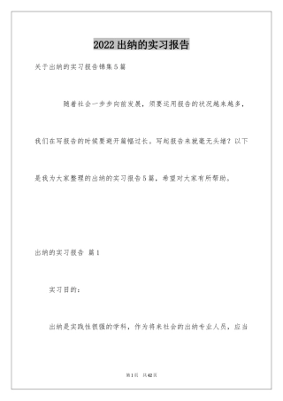 2024出纳的实习报告_58