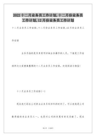 2024十二月业务员工作计划,十二月份业务员工作计划,12月份业务员工作计划