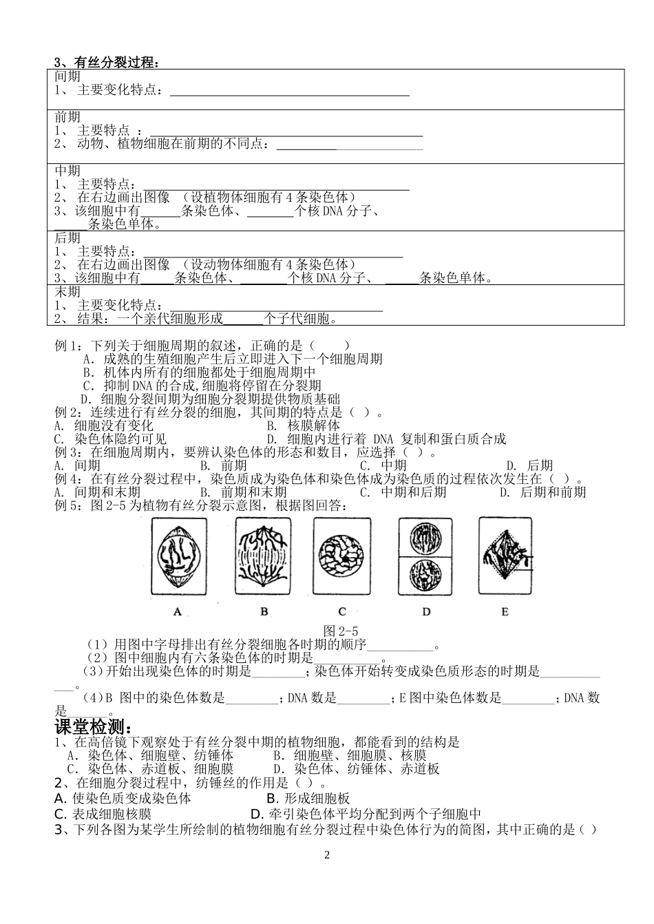 细胞的生命历程1_第2页