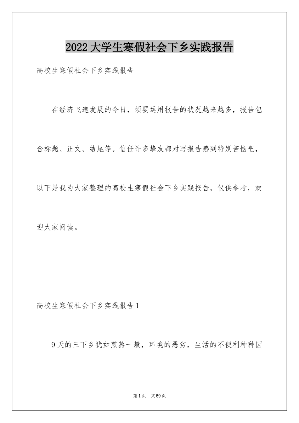 2024大学生寒假社会下乡实践报告_1_第1页